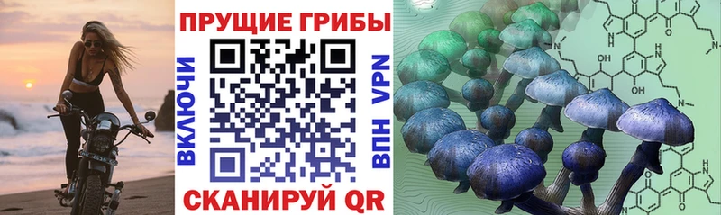 Псилоцибиновые грибы GOLDEN TEACHER  Азов 