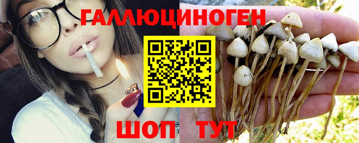 Галлюциногенные грибы MAGIC MUSHROOMS  Галлюциногенные грибы ЛСД  Вход с VPN  Азов 